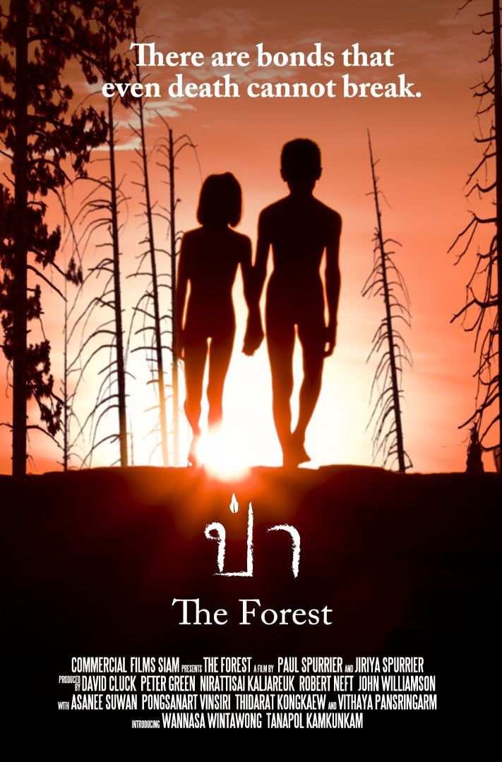 THE FOREST THE FOREST