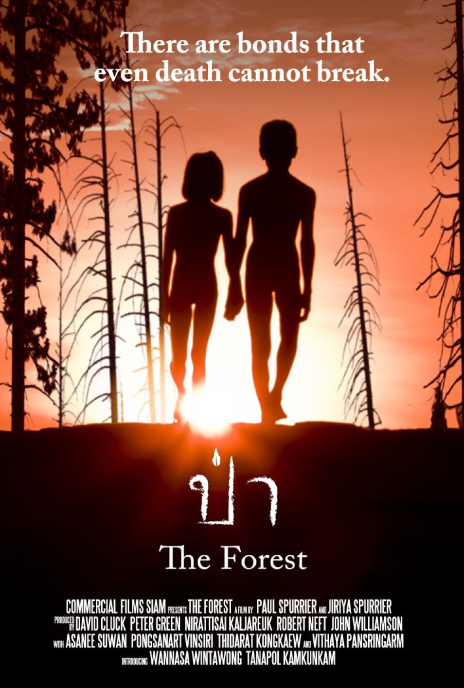 THE FOREST THE FOREST
